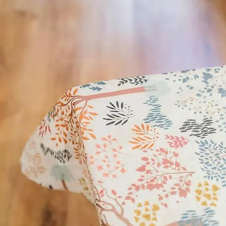 Edelweiss By Cardi El Pueyo de Jaca